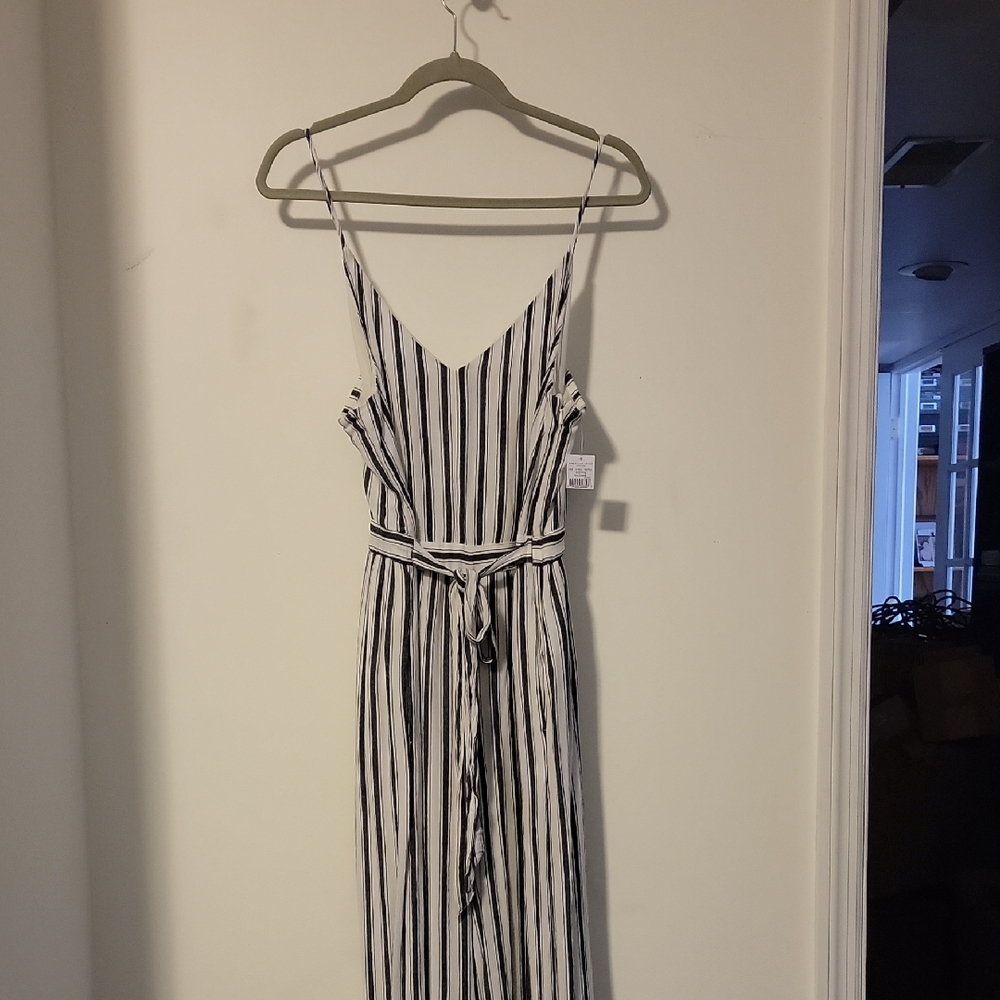 American Eagle Outfitters Striped Jumpsuit in Blue and White